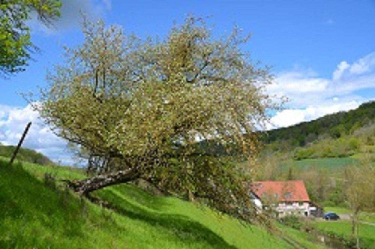 Gasthaus Holdermuehle كرغلينغن المظهر الخارجي الصورة